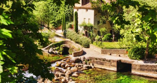 Le point sur l’aménagement du jardin méditerranéen